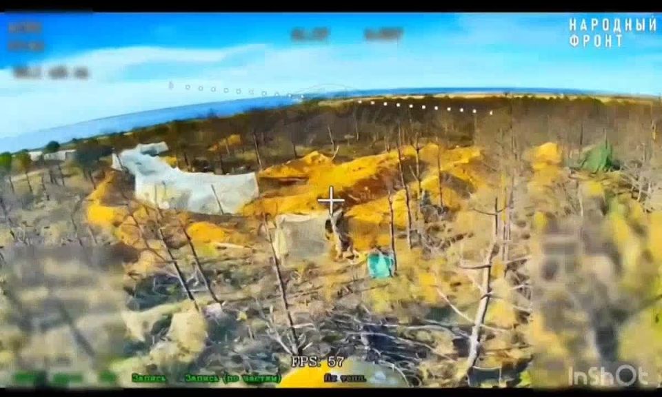 ���� �� �������: ���������� �����������. ������ ���� �� �����!