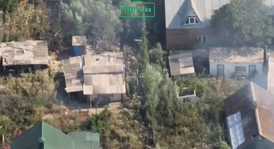 ���������� �����������, ����� ������� �����������