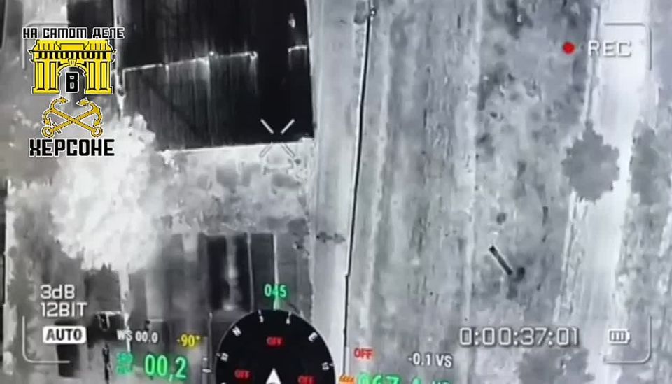 ������. ������� ����