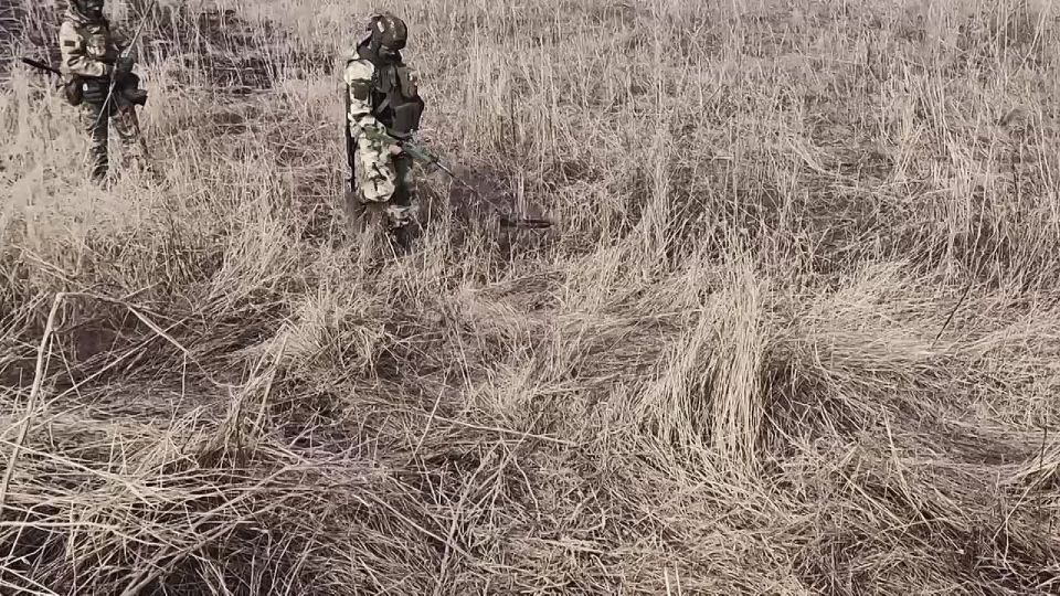 ����� �����, � ������� ��������� ���