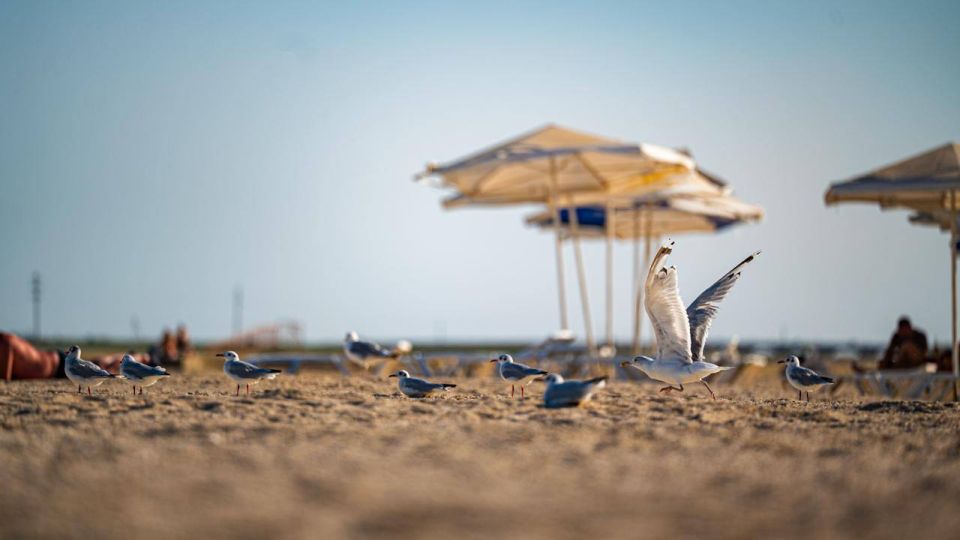 31 октября ежегодно отмечается Международный день Чёрного моря