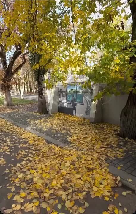 � ������ ��� �������. ��������� �� ������.��