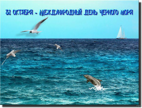 31 ������� - ������������� ���� ר����� ����!