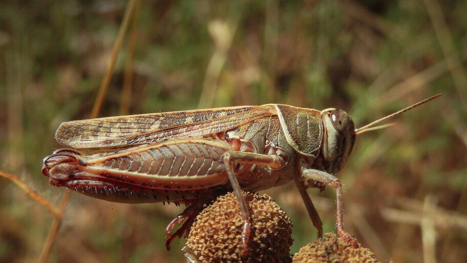 � ���������� ������� ��������� ����� ��� ����������� ������� �������