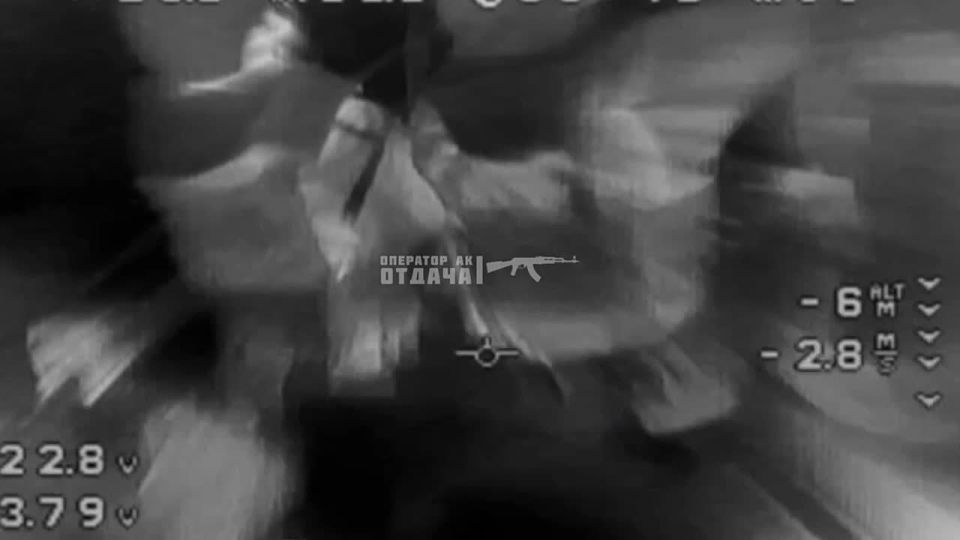 ���� ��������� ����� �� ���������� �����������: ������� �� ������ ���������� �����