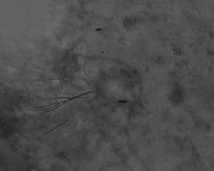 ������� ������ �� ����������� �������� ��� � ������� �������