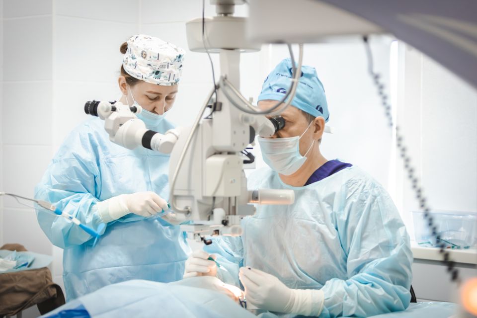 ����������� ���� ���� �������������� ����� ��. ��. �.�. Ը������ ��������� ������ ���������� ��������� ������ ������� ����� �������� ������