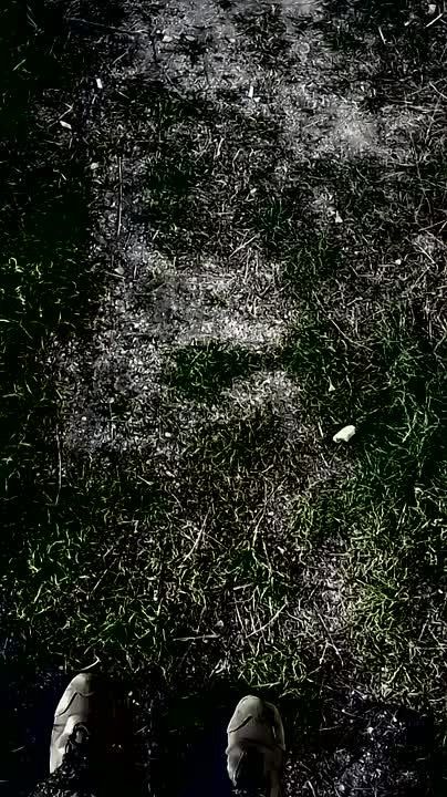 #��������. �������������� �� �� � ���� �������� ���������, ���������� � ������� ���� ����� �������� ����� � ����� ������ ���� ��� �� ��������������� �����������