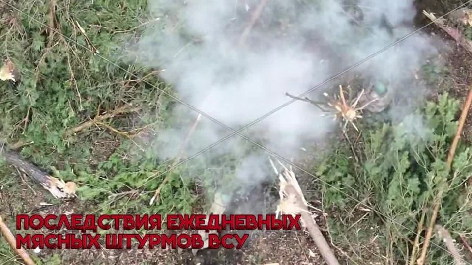 ��������� �����������.. ��������-����� ���������� �������