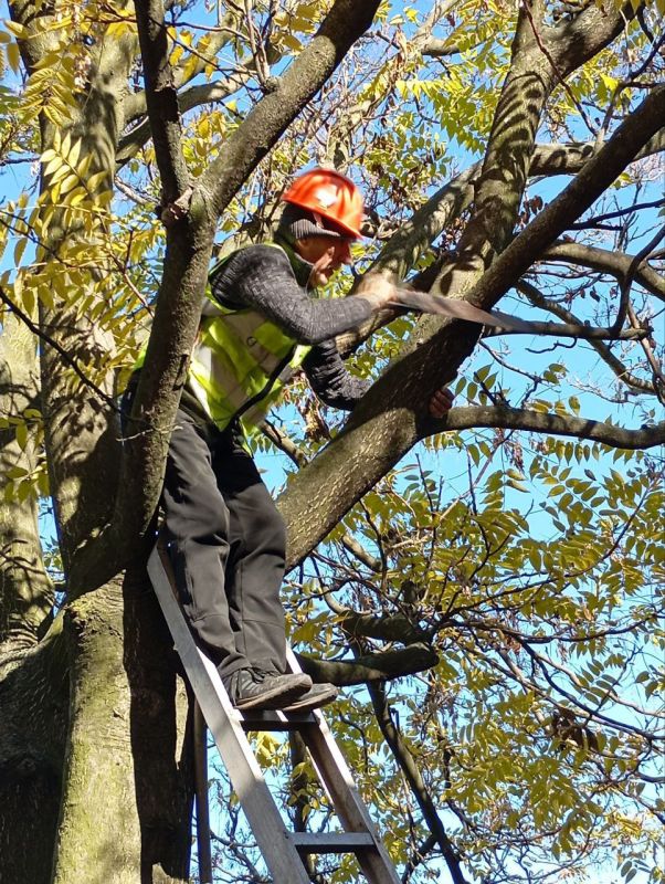 ���������� ���������� � ������� �� ��������������� � ���������� ������