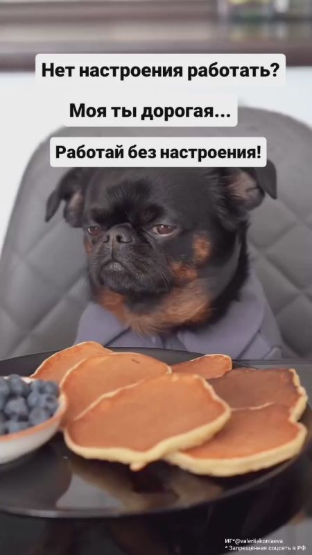 ������� �� ����... ���� ���������� � ������� ������� � ��� ������, ���� ������ �����