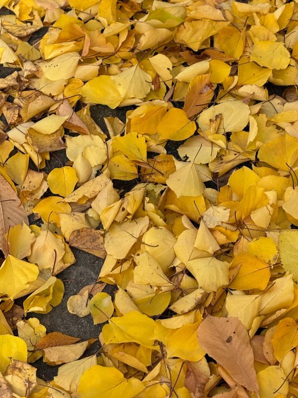 Доброе утро, дорогие жители округа!