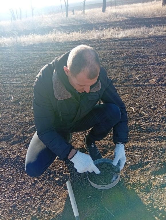 В Херсонской области искали кубышки саранчовых: зимующий запас