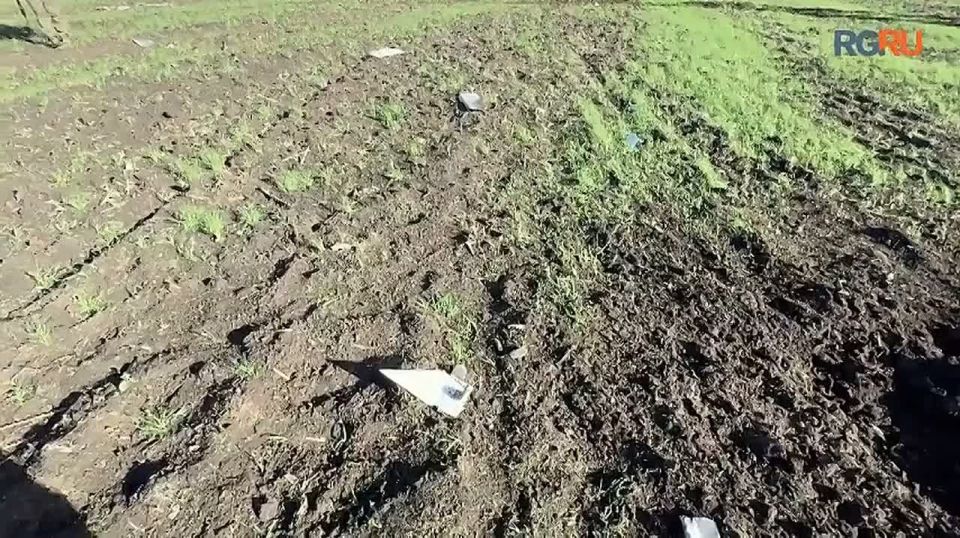 � ������� ���� ������ ���� ������������