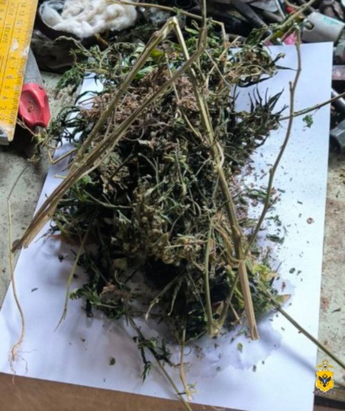 Полицейские изъяли растительный наркотик у 54-летнего жителя Каховского округа