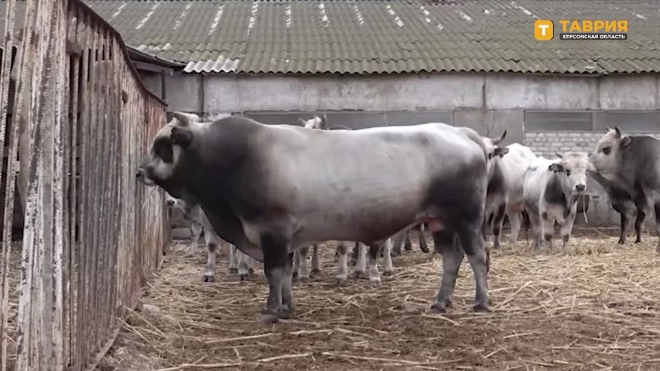 ������������ �������������� ����� ������� ��� ����� ������������ � ���������� �������, ������� ����� ����������