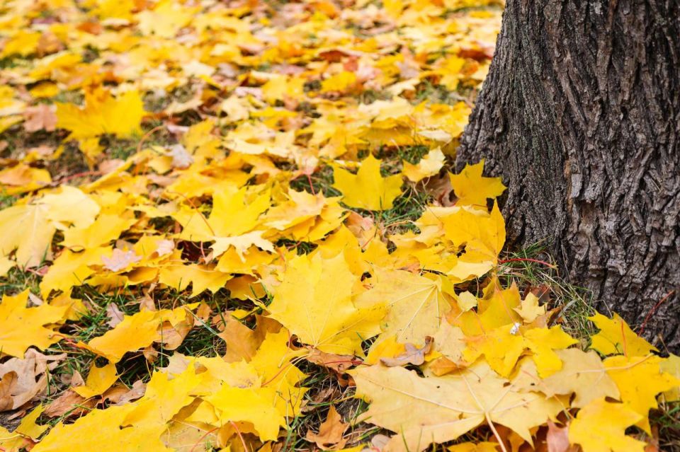 � ���� �� 2 ������ ���������� ������� ������� �����