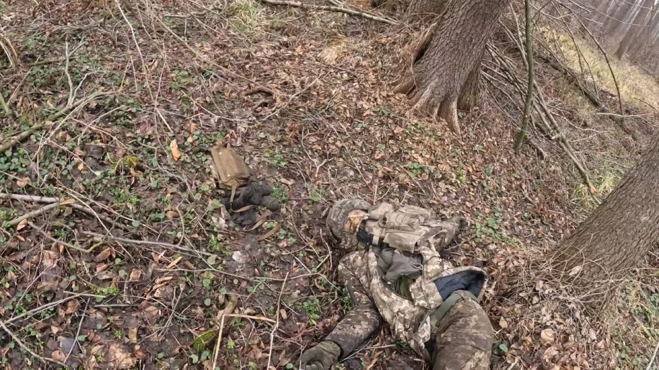 ����������. ��������-����� ���������� �������