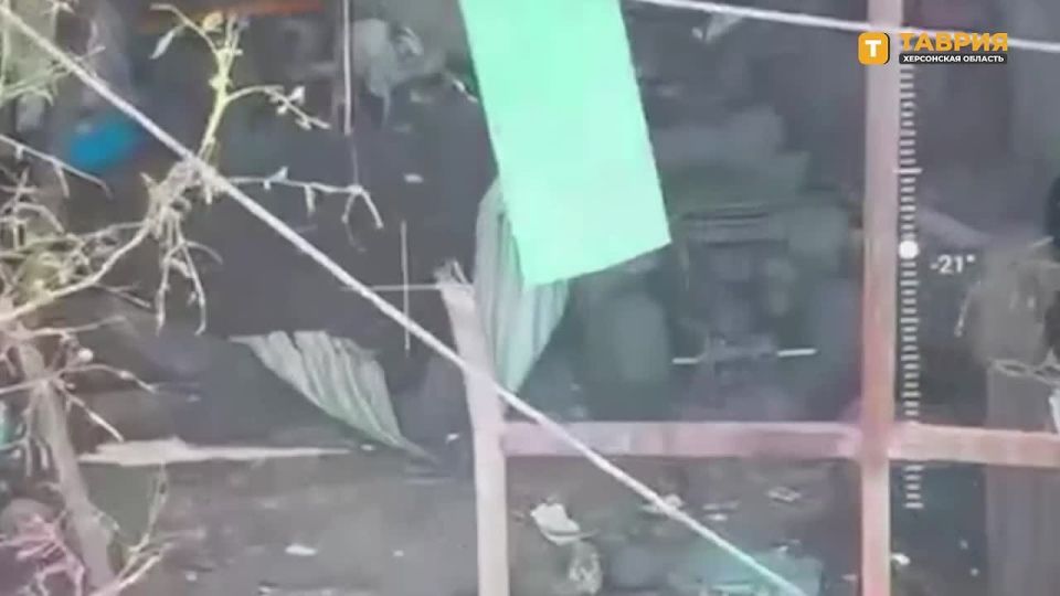 ������� ���� 49-� ����� ����������� ����� "�����" ���������� ��������� ��� � ������� �� ���������� �����������