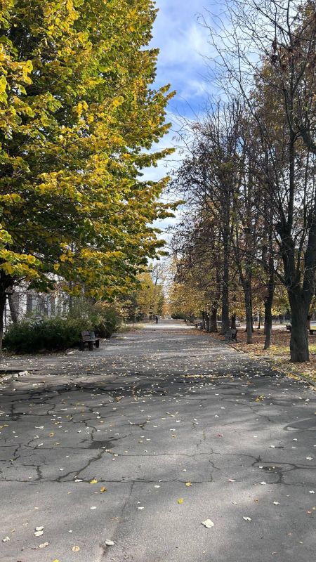 ����� ������� ������ �������