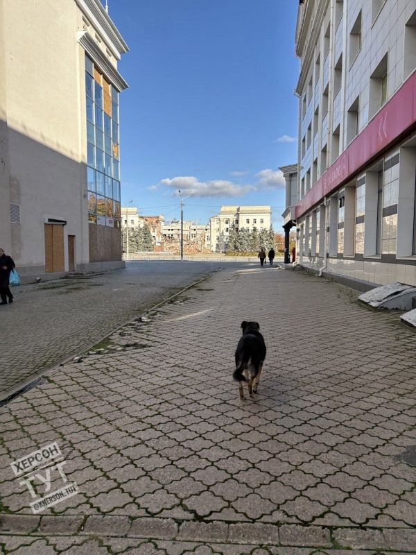 ����, 2 ������ 2025 ����