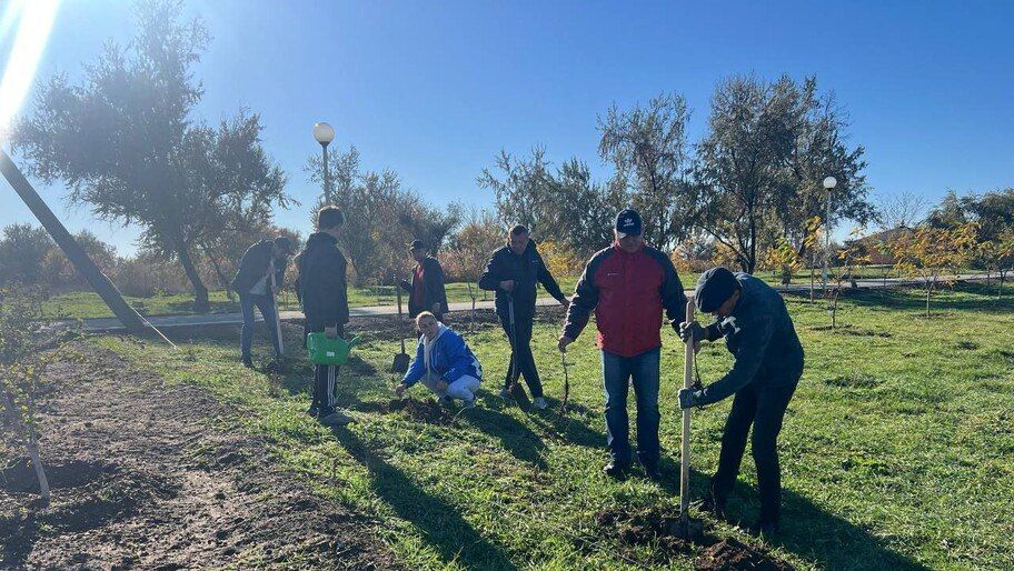 В Каланчаке высадили деревья в рамках проекта «Семейный лес»