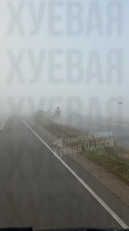 ����� ���������� ������������ ��������� ����������� ����� � �������� �������, �������� ������� ����������� ��������������