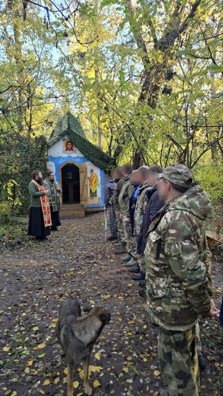 ���������� ������� ����������� �������� ���������� �� ���������� �����������