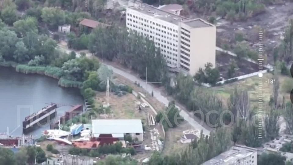 �.�����������. ��������� ������� �������� ����������� ������� � ������������ ���� �������