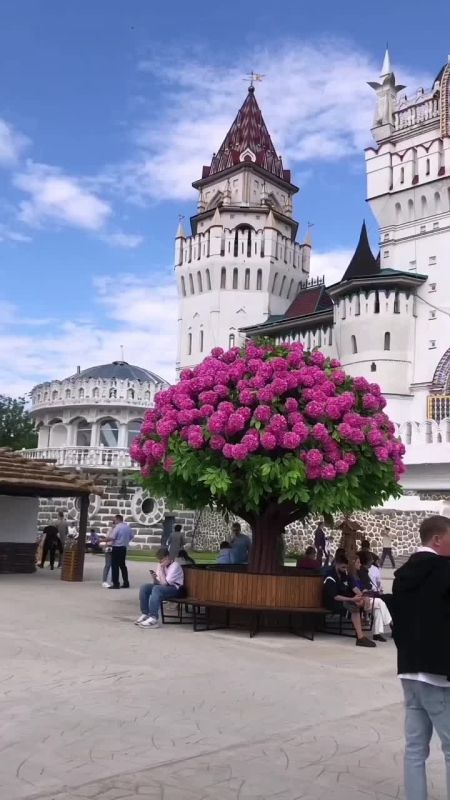 ������������ ������ - ������� ���������-��������������� ��������, ������������� �� ������� ������