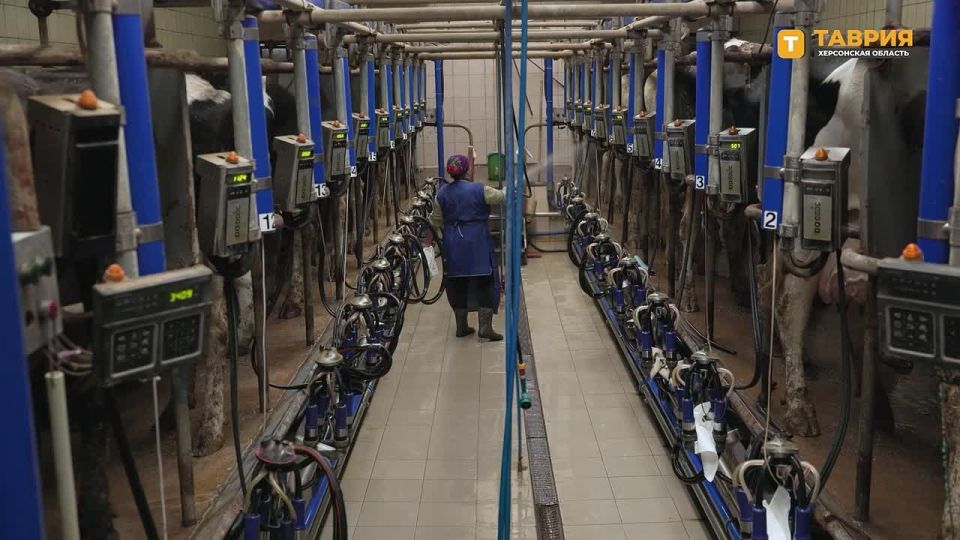 Хозяйство "Асканийское" Каховского округа — в программе "Сделано в Новороссии"