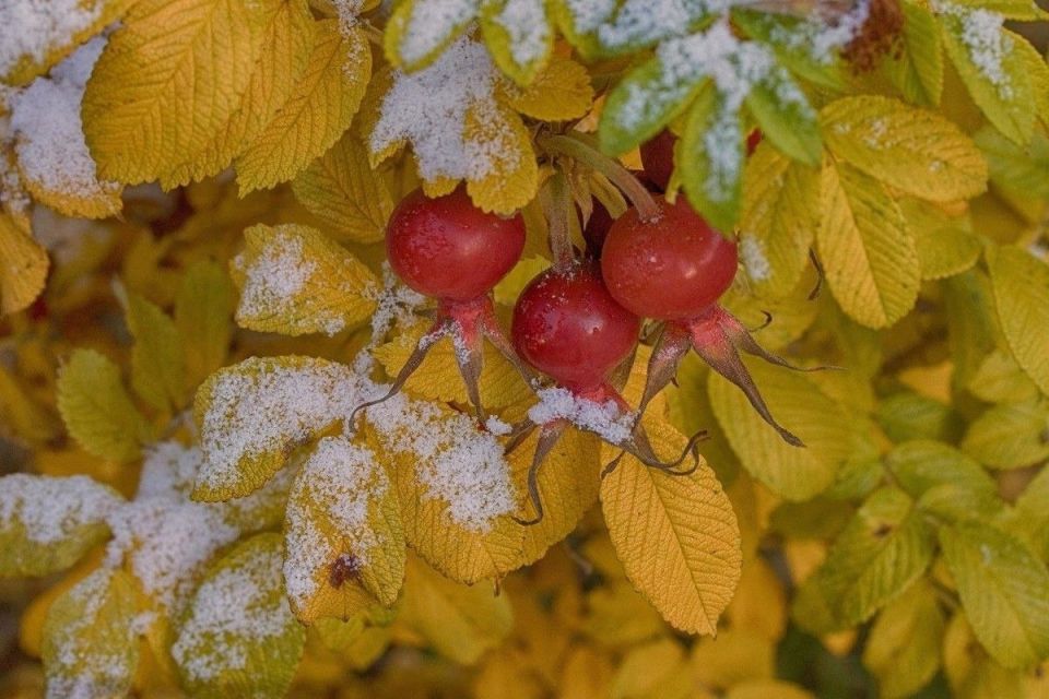 ������� � ����� ��� ������ , �������� ������ ����� . ������� , ����� ����� ������ , � ����� ������� �����