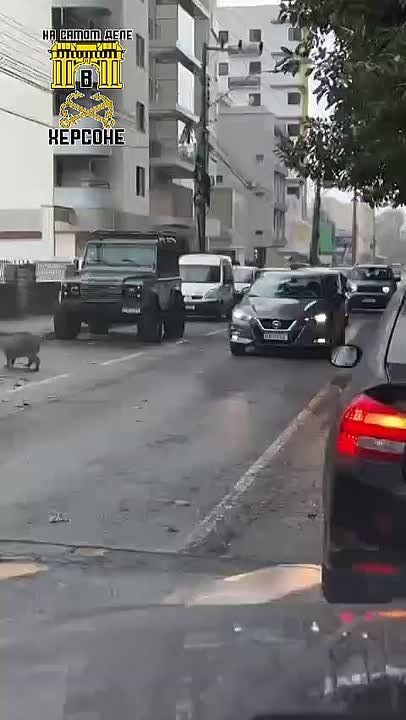 ����� ������������ ������ �� ������