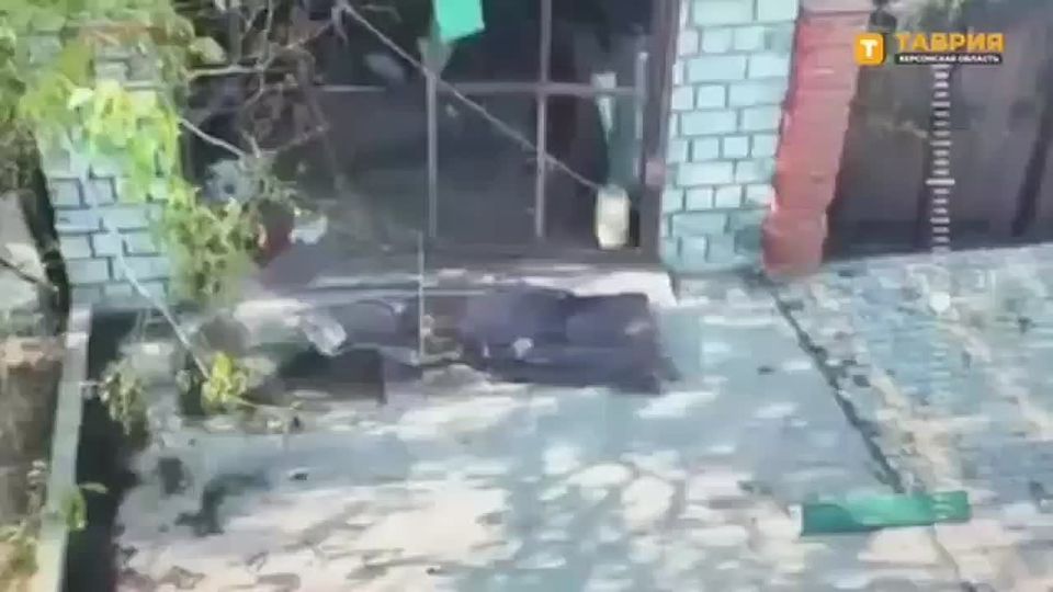 ���������� ���� 49-� ����� ����������� "�����" ���������� ��������������� ��������� ��� (���������� � ��������) � ������� �� ���������� �����������