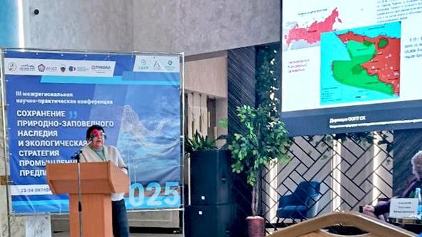 ���������� ������������� ����������� ����������� ����������� ���������� ������� �� ������������� �����������