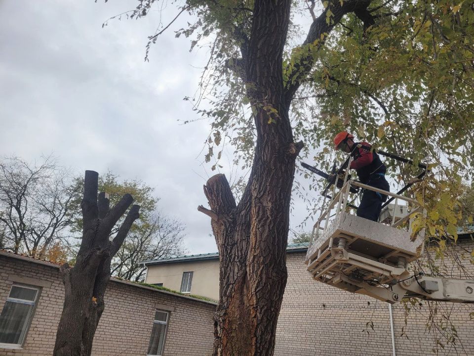 �������� ��� ������ �����������