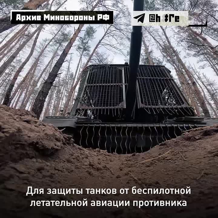 ������������ �������� �������� ��������� �������� ����������