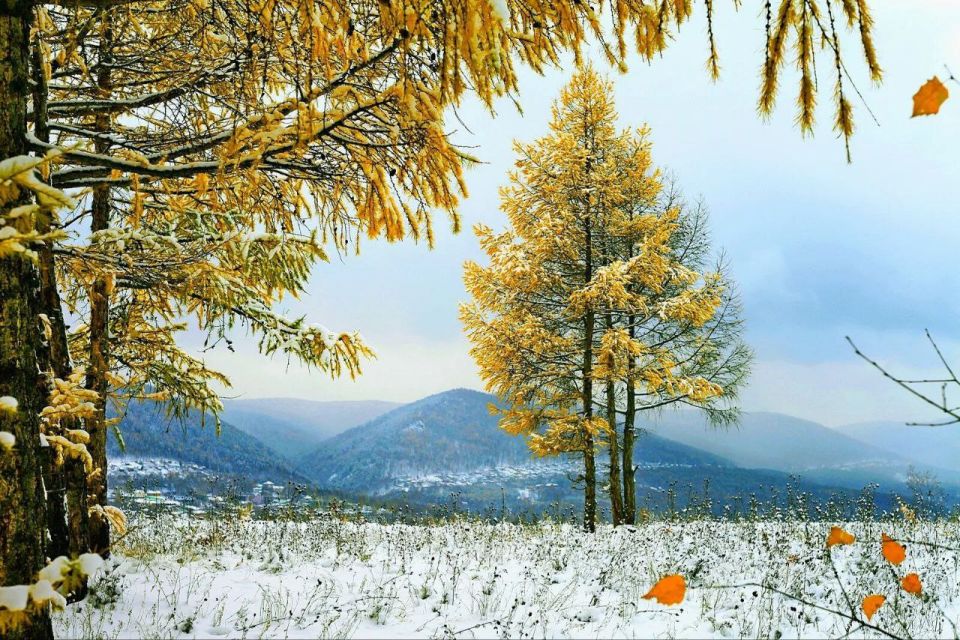 � � ������ ����� ��������� , ��� ���� � ���� , ������� ��� . ��� ��������