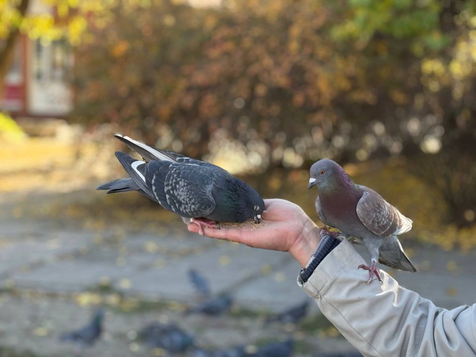 Добрый день, дорогие жители округа!