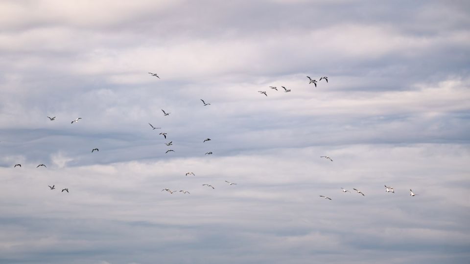 ������������ �������� ���� ��� ����������� ��������� �������� ������