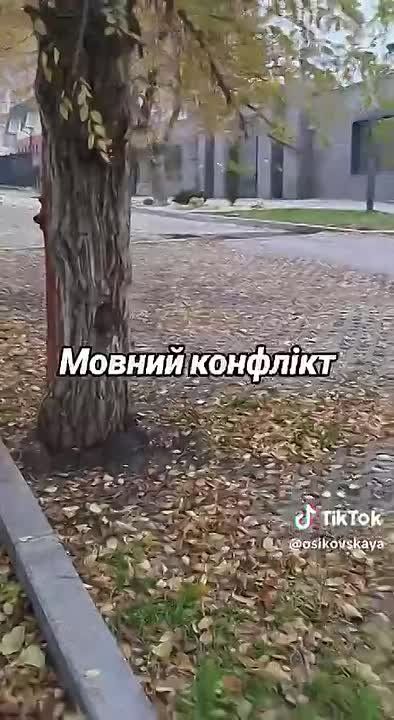 ��������� ������ ������� � ��������