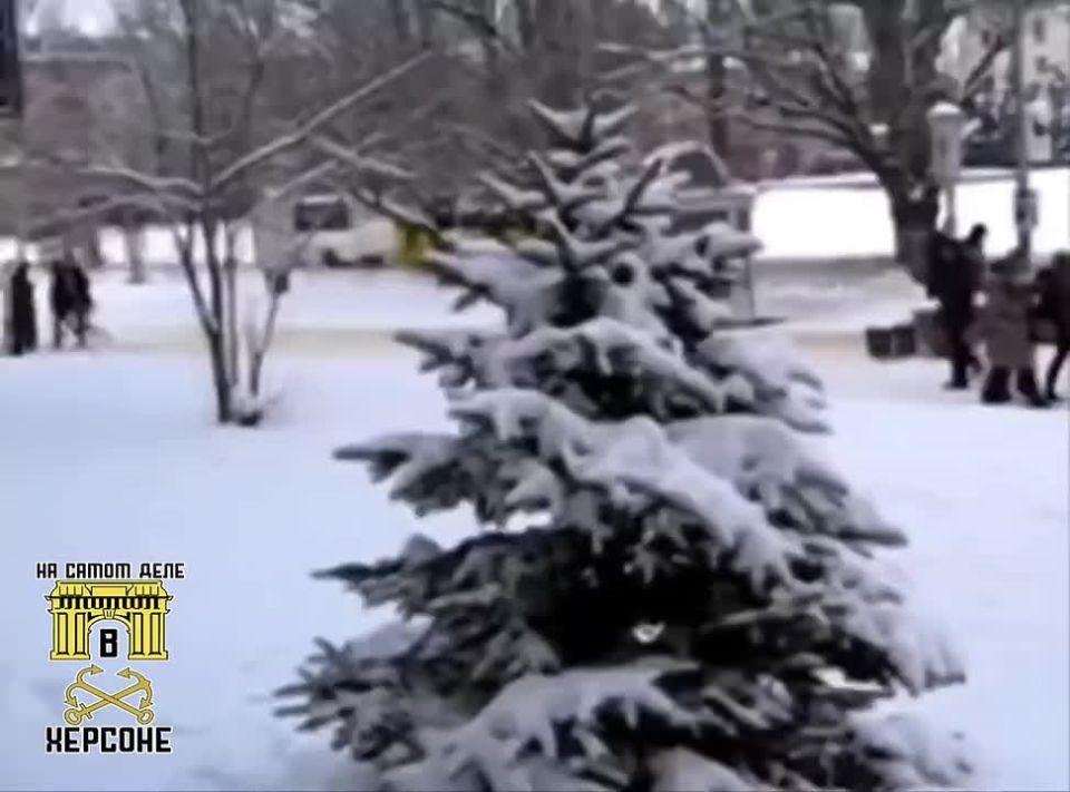 �� ����� ������ 2010 ����