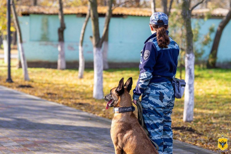 � ���������� ������� ���� ��������� �������� ������ ��� ���������