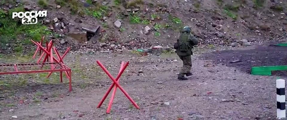 В День народного единства мы поддерживаем тех, кто защищает нашу общую Родину