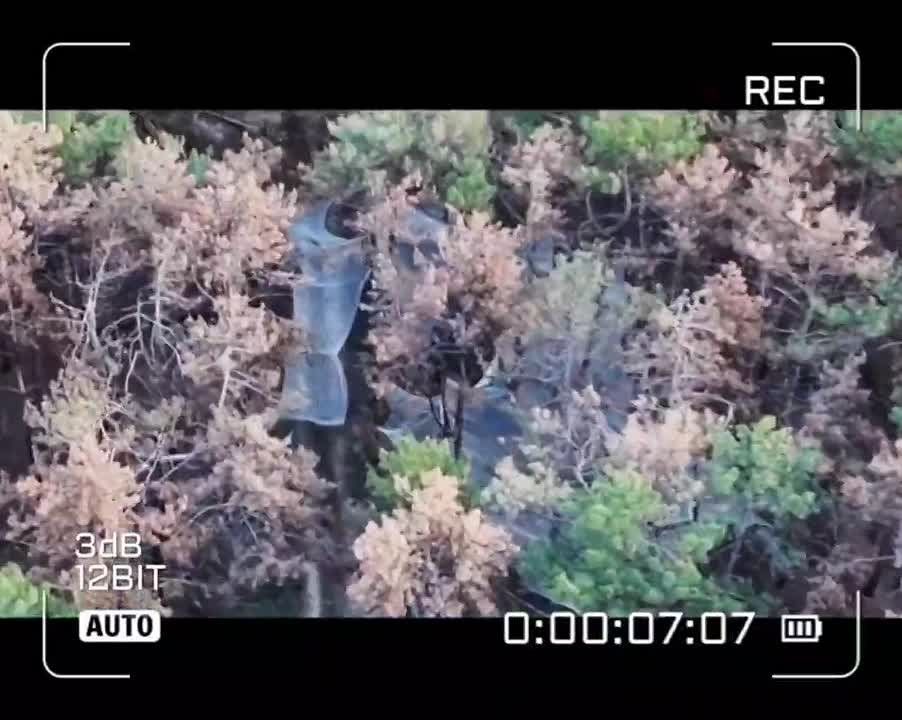 ������. ������� ����