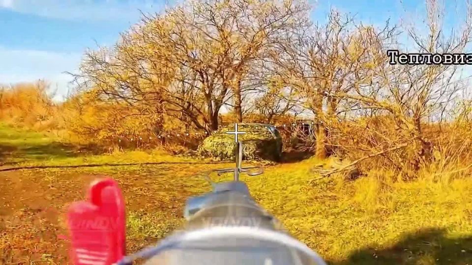 ��������� ��� 1198 ��������������� ����� 35 ����� ����������� ����� "������" �������� ��������� ������� ��������� �� ������������ �������� � ����������� �������