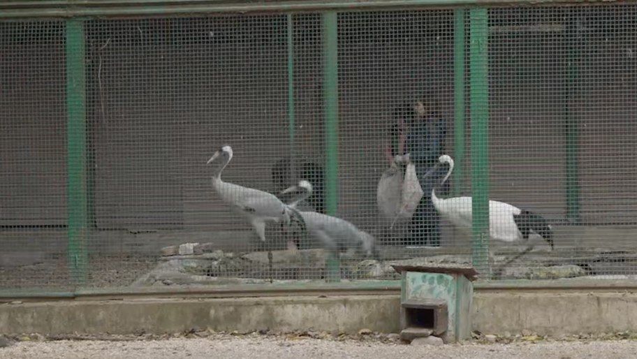 В заповеднике «Аскания-Нова» завершен туристический сезон — 2025