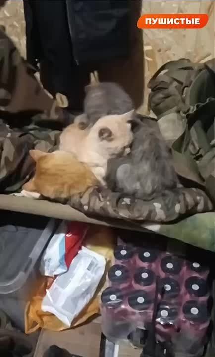 �������� ����� ��������� � ������� �� ����� �� ���������, �������������� ������ �������