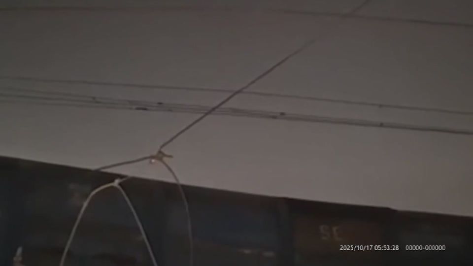 �������� ������: �������� ��������� ������� �������������� ���� �� ��������������� ������� ���