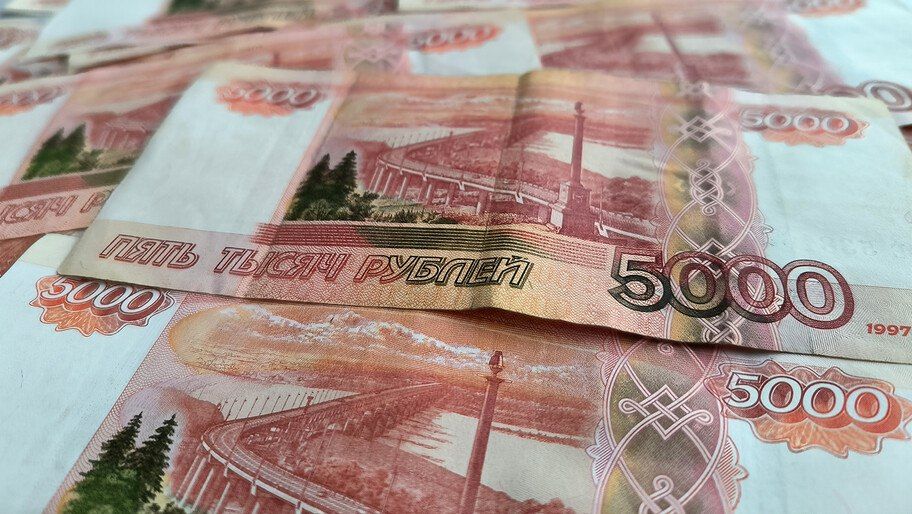 Гарантийный фонд Херсонской области выдал поручительства на 115,5 млн рублей